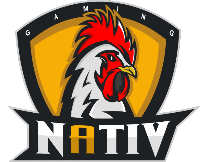 NativGaming Mascot